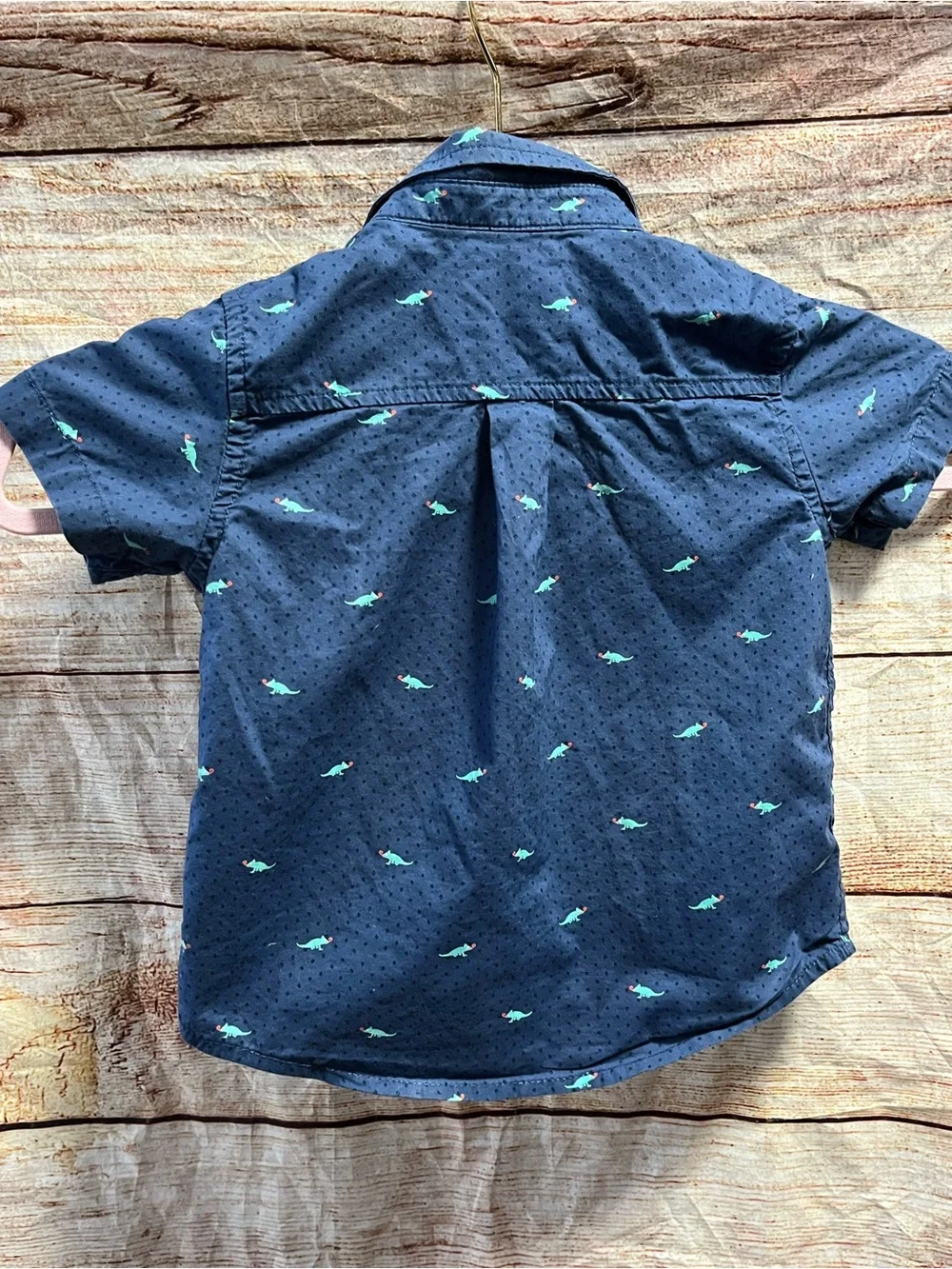 The Children’s Place iguana shirt-Boys 12/18 months